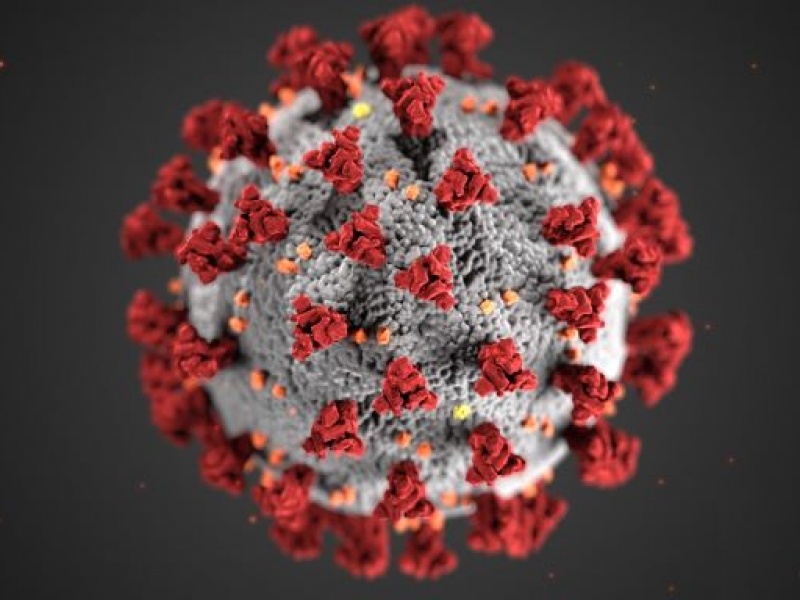Close-up of COVID-19 virus.