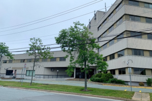 Multi-story professional building with a tree out front.